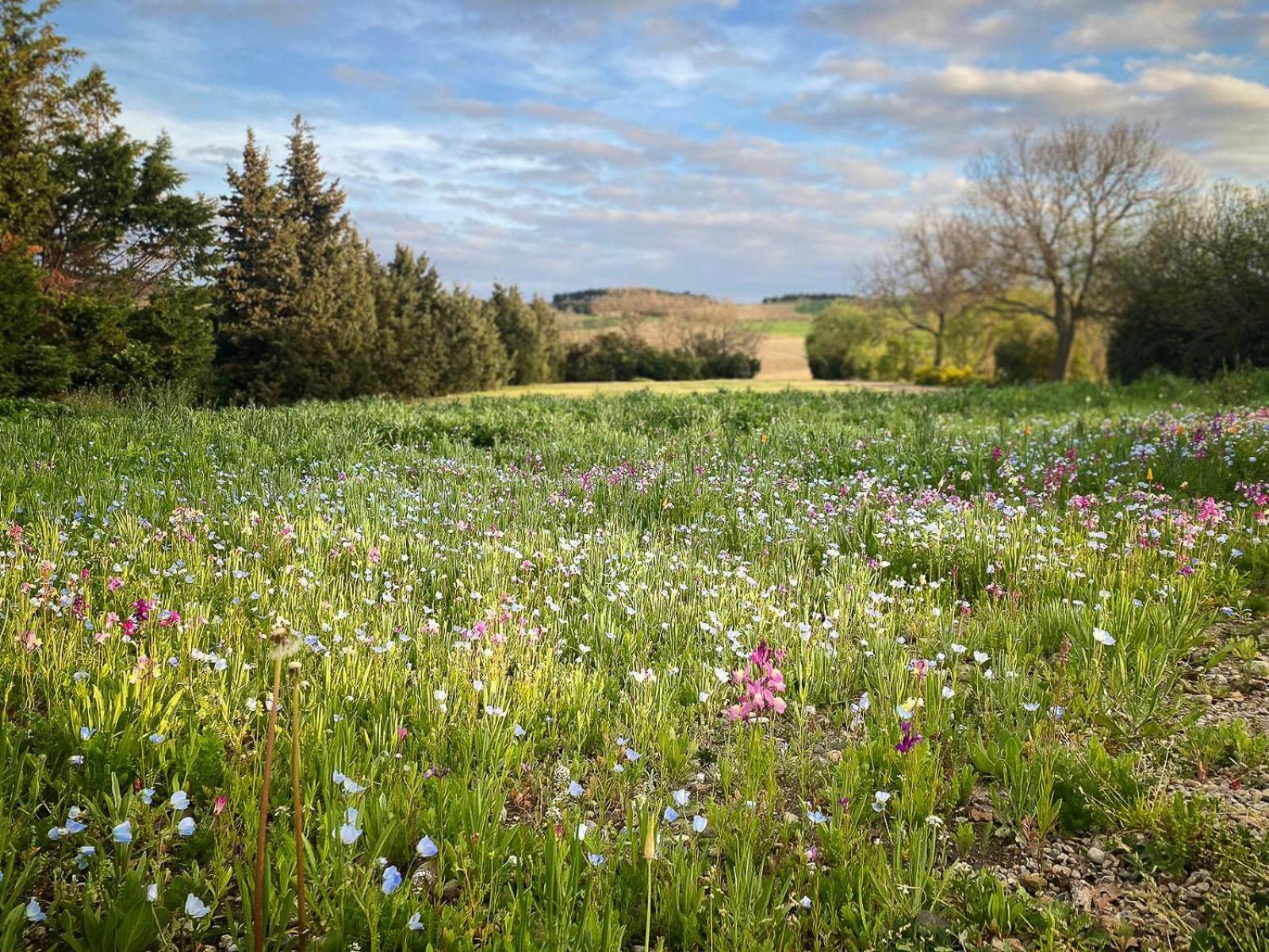 Вилла The East Wing - Carcassonne Монреаль Экстерьер фото